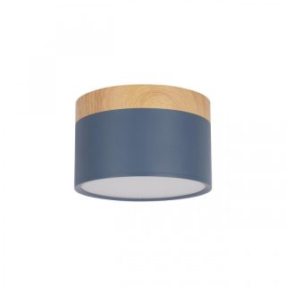 Накладной светильник Loft IT Grape 10162 Blue