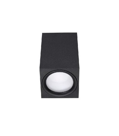 Накладной светильник Lucia Tucci Cambissa LTP-C004-01GU10-B