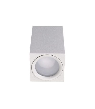 Накладной светильник Lucia Tucci Cambissa LTP-C004-01GU10-W