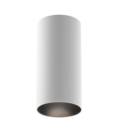 Накладной светильник Maytoni Artisan C080CL-01-GU10-W