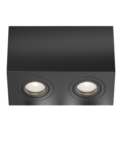 Накладной светильник Maytoni Atom C017CL-02B