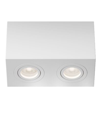 Накладной светильник Maytoni Atom C017CL-02W