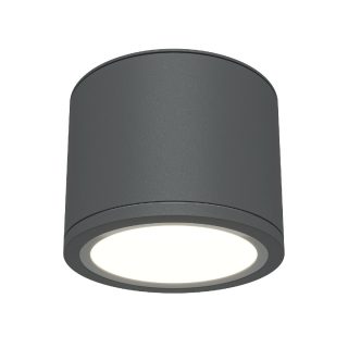 Накладной светильник Maytoni Rendo C095CL-GX53-GR