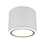 Накладной светильник Maytoni Rendo C095CL-GX53-W