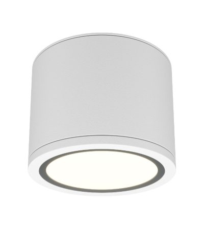 Накладной светильник Maytoni Rendo C095CL-GX53-W