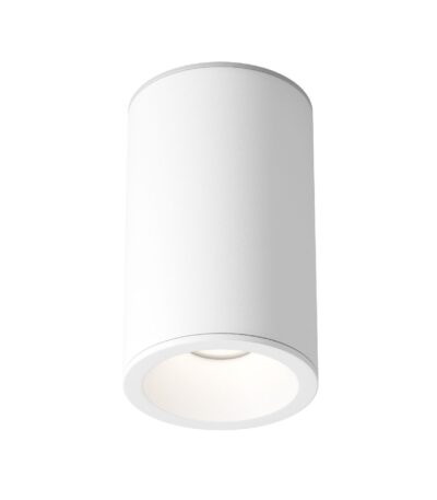 Накладной светильник Maytoni Zoom C029CL-01-S-W