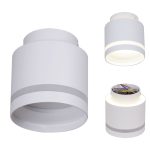 Накладной светильник Reluce 53001-9.5-001IL GX53+LED3W WT