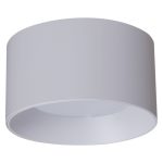 Накладной светильник Reluce 53060-9.5-001LD GX53 WT