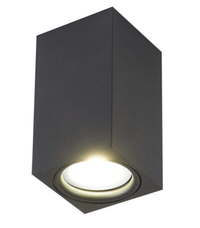 Накладной светильник Simple Story 2035-1CLB