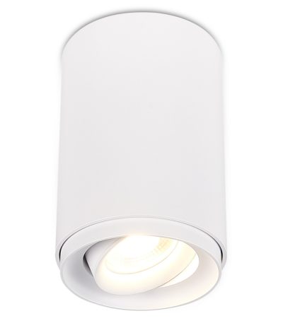 Накладной светильник Simple Story 2065-1CLW