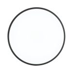 Накладной светильник Sonex 3012/DL