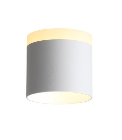 Накладной светильник ST Luce ST102.502.09