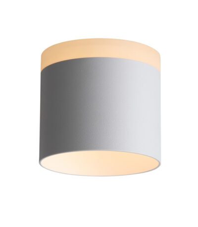 Накладной светильник ST Luce ST102.502.12