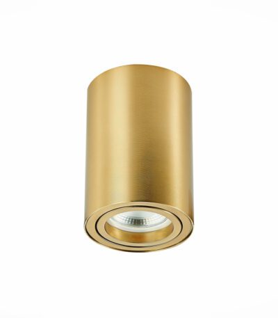 Накладной светильник ST Luce ST108 ST108.207.01