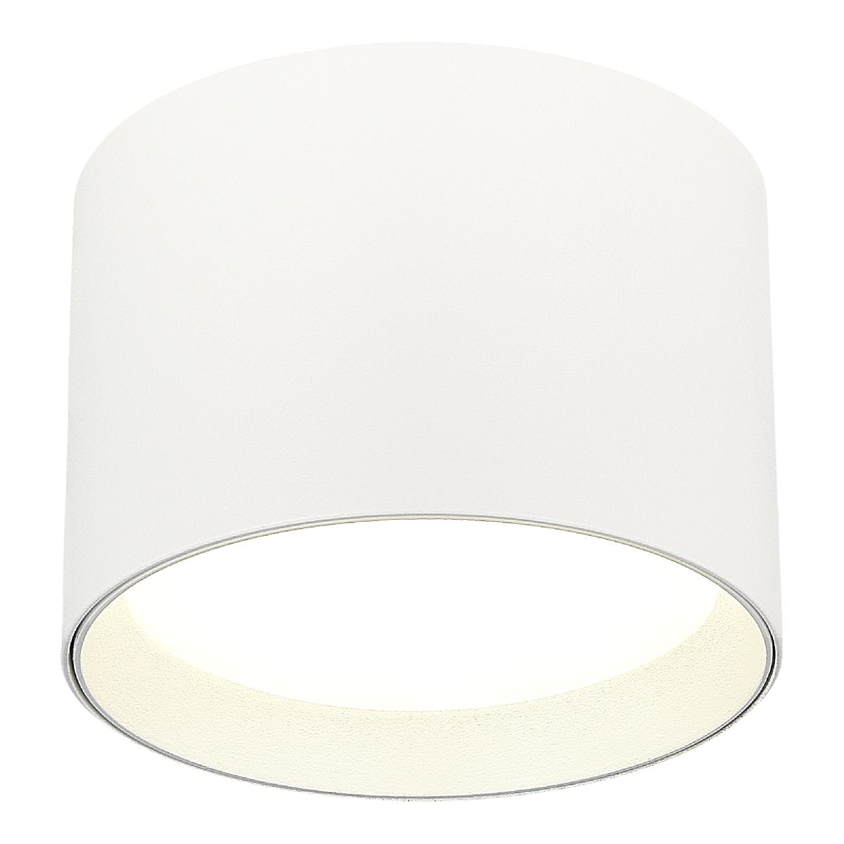 Накладной светильник ST Luce ST163.502.01 Накладной светильник ST Luce ST163.502.01