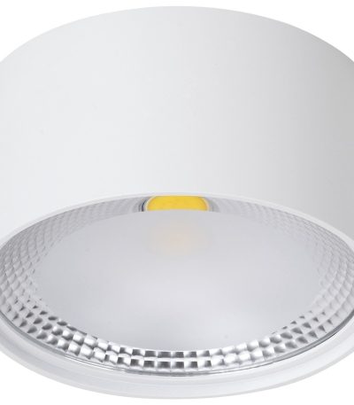 Накладной светильник Wertmark WTA.O02.007.V0.12