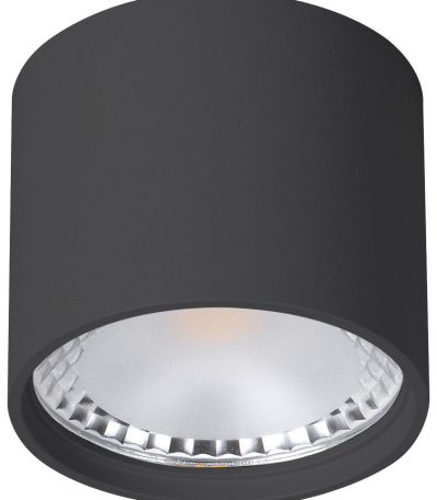 Накладной светильник Wertmark WTA.O02.607.V0.07