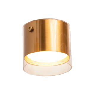 Накладной светильник Wolta Oro WSL-GX53/07G