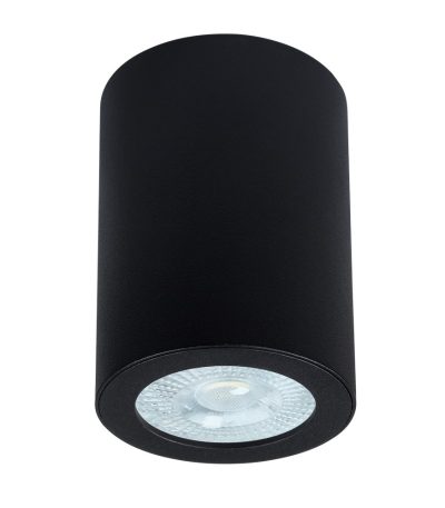 Накладной светильники Arte Lamp Tino A1468PL-1BK