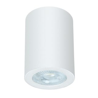 Накладной светильники Arte Lamp Tino A1468PL-1WH