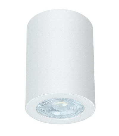 Накладной светильники Arte Lamp Tino A1468PL-1WH