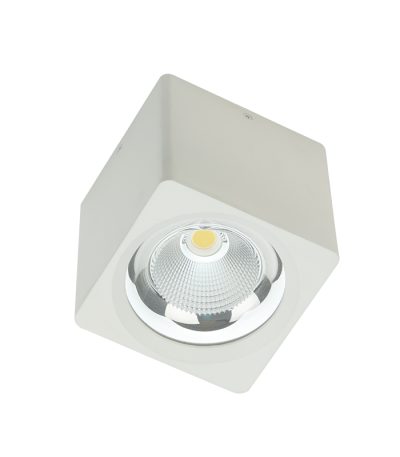 Накладной светодиодный светильник Fiberli CH-SD220-1(W) 12120103