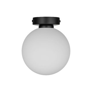 Настенно-потолочный светильник 33 Идеи WLL105.17BL-S32WH