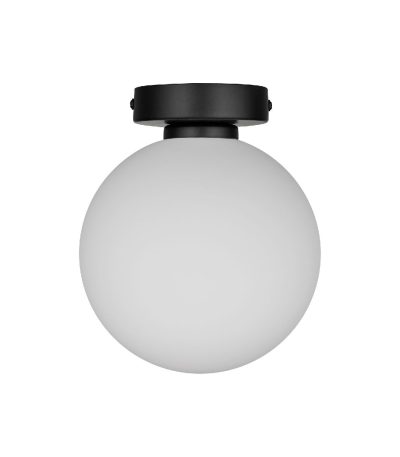 Настенно-потолочный светильник 33 Идеи WLL105.17BL-S32WH