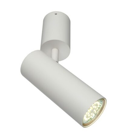 Настенно-потолочный светильник Aployt Berenis APL.007.02.01