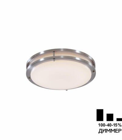 Настенно-потолочный светильник Citilux Бостон CL709201N