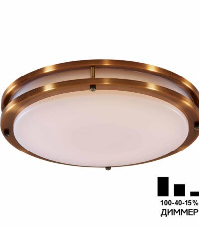 Настенно-потолочный светильник Citilux Бостон CL709503N