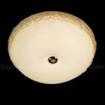 Настенно-потолочный светильник Cloyd Nectar 11324