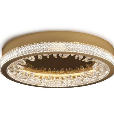 Настенно-потолочный светильник Delight Collection XD-50 gold