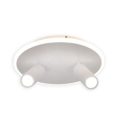 Настенно-потолочный светильник Escada 20046SMA/02LED WH