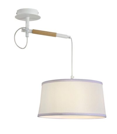 Настенно-потолочный светильник F-Promo Eureka 3005-1P