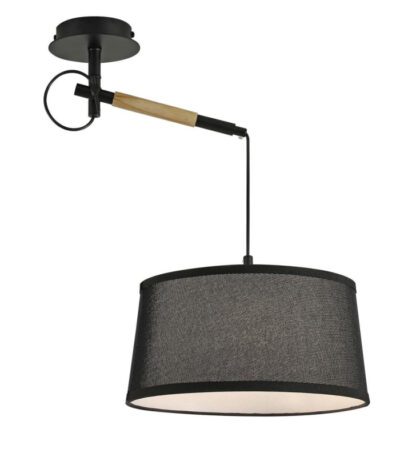 Настенно-потолочный светильник F-Promo Eureka 3006-1P