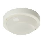 Настенно-потолочный светильник Feron AL3008 48996