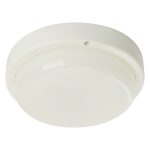 Настенно-потолочный светильник Feron AL3008 48997