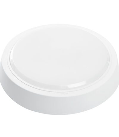 Настенно-потолочный светильник Feron AL3020 41769