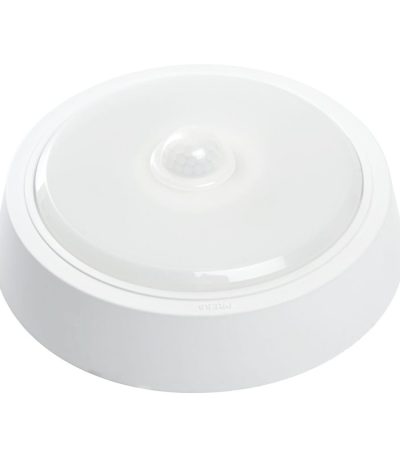 Настенно-потолочный светильник Feron AL3022 41791