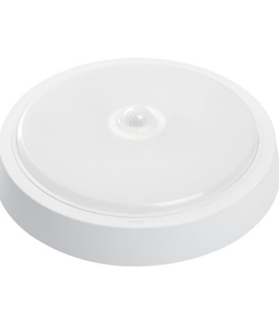 Настенно-потолочный светильник Feron AL3022 41796