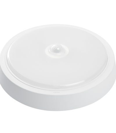 Настенно-потолочный светильник Feron AL3022 41797