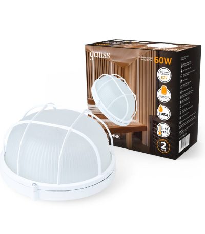 Настенно-потолочный светильник Gauss НБП 926602116