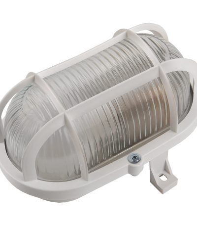 Настенно-потолочный светильник General НБП 02-60-004.03 437832