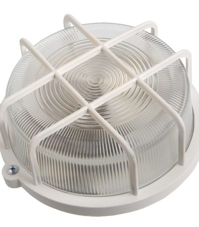 Настенно-потолочный светильник General НПП 03-100-005.04 437849