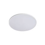 Настенно-потолочный светильник Lightstar Arco Eco 225720