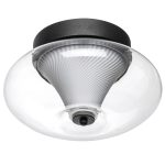 Настенно-потолочный светильник Lightstar Palermo 612017