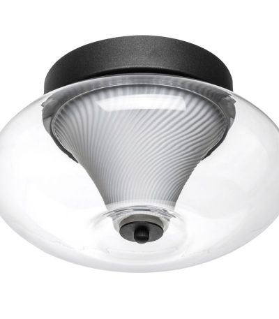 Настенно-потолочный светильник Lightstar Palermo 612017