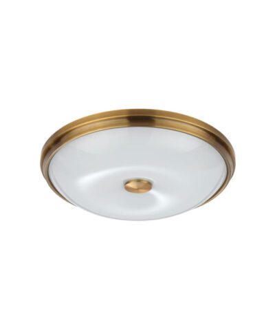 Настенно-потолочный светильник Odeon Light Pelow 4956/4