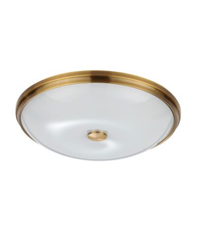 Настенно-потолочный светильник Odeon Light Pelow 4956/5